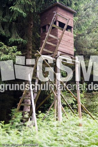 Hochstände (109 von 154).jpg